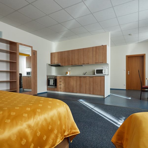 Ctyrluzkovy Apartman2